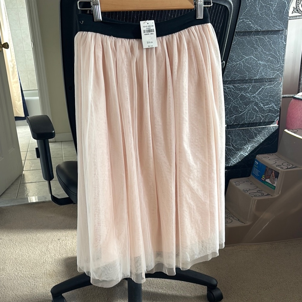 Abercrombie &Fitch Tulle Skirt